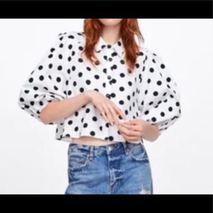 NWT Zara crop polka dot top